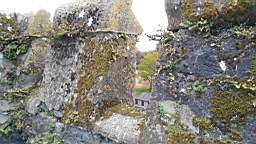 acastle
                          111235.jpg
